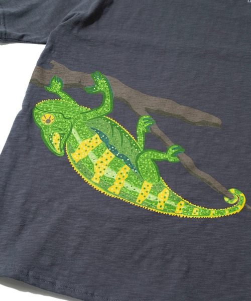 go slow caravan(ゴースローキャラバン)の「ESPACE VERT/エスパスヴェール カメレオン S/S TEE(Tシャツ/カットソー・メンズ・ナチュラル/チャコールグレー・MEDIUM/LARGE/X-LARGE)」の12枚目の写真