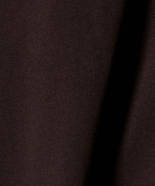 green label relaxing（グリーンレーベルリラクシング）の「【WEB限定】＜at ease＞エンブロイダリー カットソー（Tシャツ/カットソー・レディース・ダークブラウン/ライトピンク/ホワイト・FREE）」の20枚目の写真