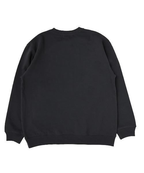 RADIO EVA(ラヂオエヴァ)の「RADIO EVA 538 THE BEAST BIG Sweat(スウェット・メンズ・ブラック×グリーン/グレー・FREE/LARGE/MEDIUM/X-LARGE)」の8枚目の写真