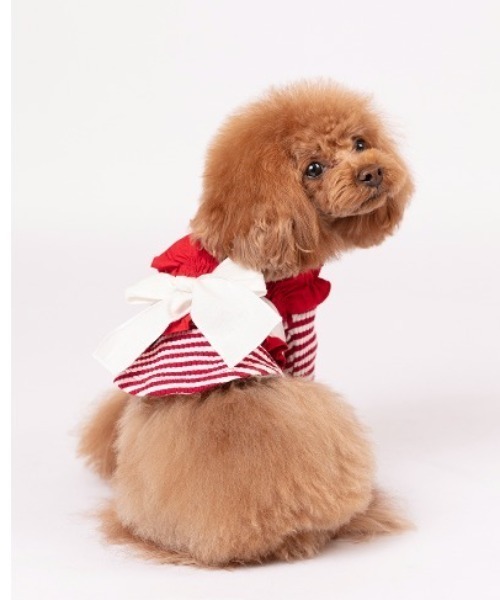 【Parfest/パルフェスト】ビスチェ/犬服（ドッグウェア）