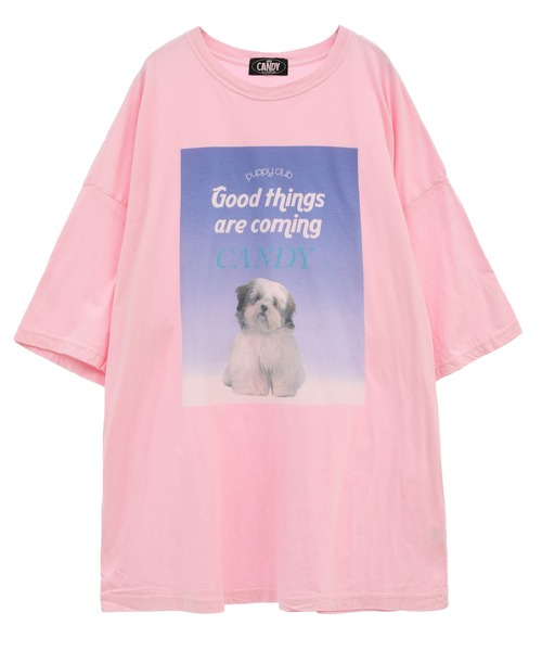 Candy Stripper(キャンディストリッパー)の「GOOD PUPPY BIG BIG Tシャツ(Tシャツ/カットソー・レディース・ピンク/オフホワイト/ライトブルー/ブラック・2)」の13枚目の写真