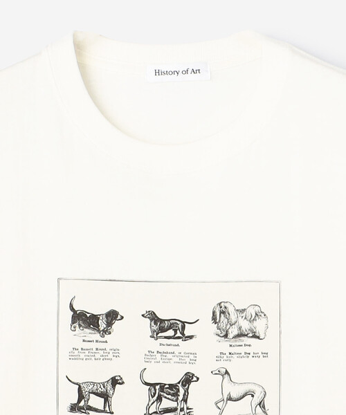 犬アートプリントシャツ セール】ドッグ アート プリントTシャツ/ アニマルプリントT