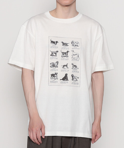 トップス House on the Hill S/S Tee ( Tile ) S/S Tee (Tile) | House on the Hill