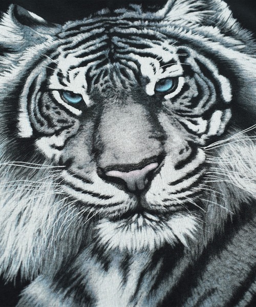 LABORATORY R（ラボラトリーアール）の「【USED】90’s anvil “Tiger” アニマルプリント Tシャツ USA製（Tシャツ/カットソー・メンズ・ブラック・X-LARGE）」の3枚目の写真