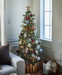 studio CLIP(X^fBINbv)̃NX}Xc[150cm [CHRISTMAS 2025](CeAG)