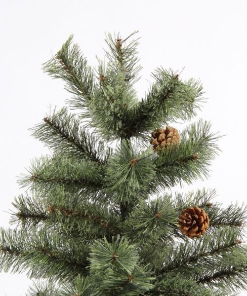 クリスマスツリー150cm [CHRISTMAS 2025]（インテリア雑貨）｜studio