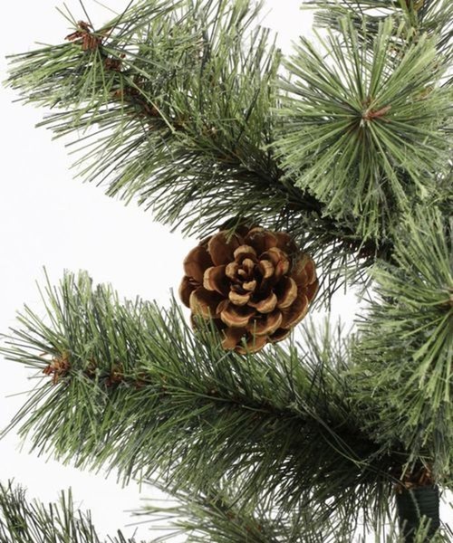 セール】クリスマスツリー150cm [CHRISTMAS 2025]（インテリア雑貨