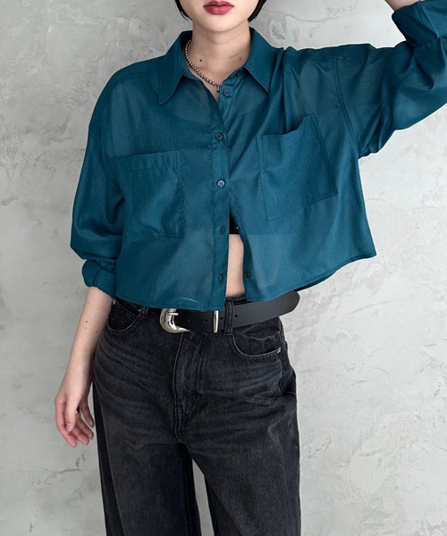 PAGEBOY(ページボーイ)の「イージーケアシアーショートシャツ(シャツ/ブラウス・レディース・ブラック/グリーン/ドット・FREE)」の16枚目の写真