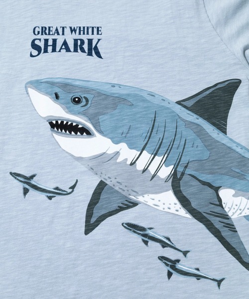 go slow caravan(ゴースローキャラバン)の「ESPACE VERT/エスパスヴェール シャーク S/S TEE(Tシャツ/カットソー・メンズ・サックスブルー/ホワイト・MEDIUM/LARGE/X-LARGE)」の4枚目の写真