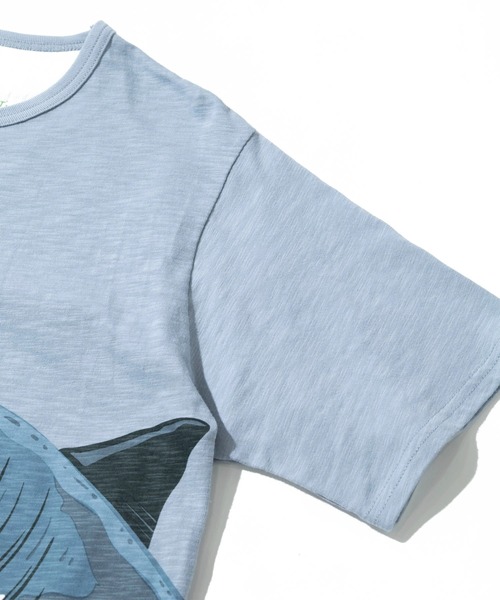 go slow caravan(ゴースローキャラバン)の「ESPACE VERT/エスパスヴェール シャーク S/S TEE(Tシャツ/カットソー・メンズ・サックスブルー/ホワイト・MEDIUM/LARGE/X-LARGE)」の5枚目の写真