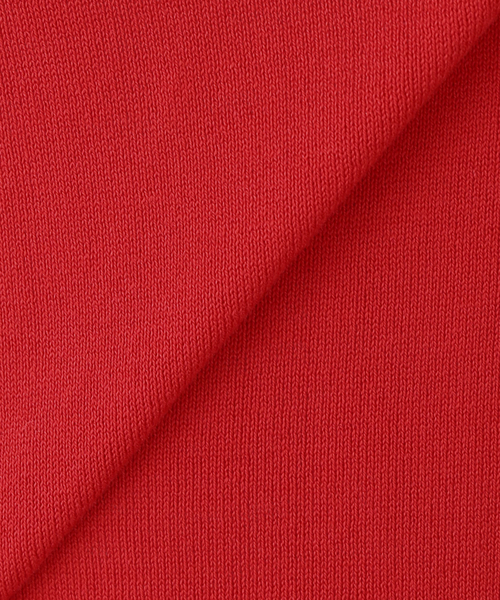 JOURNAL STANDARD LUXE(ジャーナルスタンダード ラックス)の「HGコットン タートルネックプルオーバー(ニット/セーター・レディース・チャコールグレー/ブラック/レッド・FREE)」の11枚目の写真