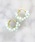 TONE SELECT GOODS�i�g�[���Z���N�g�O�b�Y�j�́u�ymarinaJEWELRY�zAmazonite pave earring�i�C�������O�j�v�b�u���[