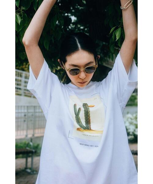 green label relaxing（グリーンレーベルリラクシング）の「OLT【 WEB限定 】[ GLR/ -or ] USDA アート カラー イラスト 無地 タイダイ柄 Tシャツ（Tシャツ/カットソー・メンズ・ホワイト/パープル/グレー/ライム・S/M/L）」の11枚目の写真