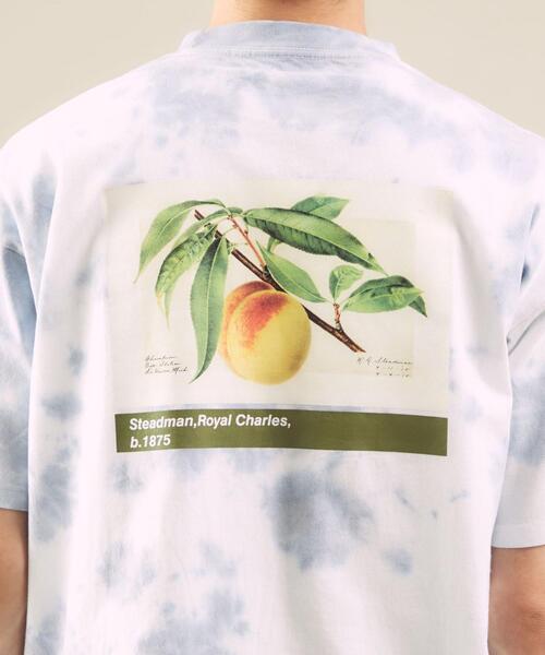 green label relaxing（グリーンレーベルリラクシング）の「OLT【 WEB限定 】[ GLR/ -or ] USDA アート カラー イラスト 無地 タイダイ柄 Tシャツ（Tシャツ/カットソー・メンズ・ホワイト/パープル/グレー/ライム・S/M/L）」の15枚目の写真