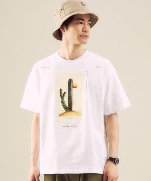 green label relaxing（グリーンレーベルリラクシング）の「OLT【 WEB限定 】[ GLR/ -or ] USDA アート カラー イラスト 無地 タイダイ柄 Tシャツ（Tシャツ/カットソー・メンズ・ホワイト/パープル/グレー/ライム・S/M/L）」の22枚目の写真