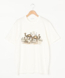 Bshop | 【History of Art】アニマルプリントTシャツ MEN(Tシャツ/カットソー)