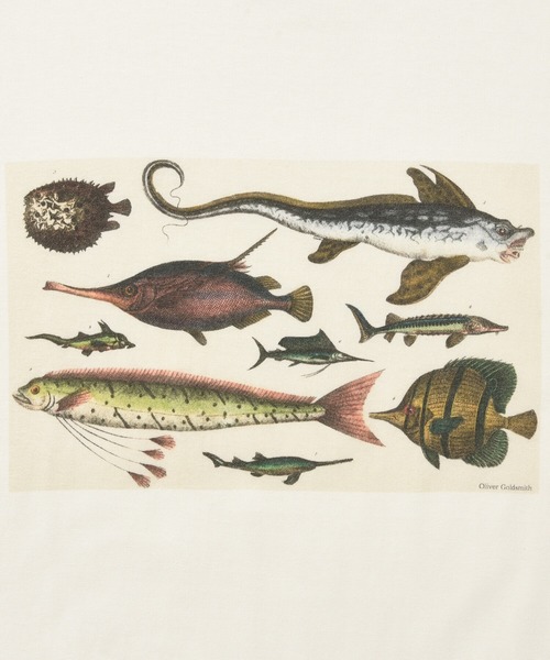 Bshop(ビショップ)の「【History of Art】アニマルプリントTシャツ MEN(Tシャツ/カットソー・メンズ・B/D/A/C・LARGE/X-LARGE/MEDIUM)」の11枚目の写真