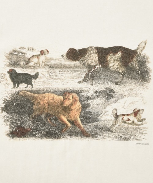 Bshop(ビショップ)の「【History of Art】アニマルプリントTシャツ MEN(Tシャツ/カットソー・メンズ・B/D/A/C・LARGE/X-LARGE/MEDIUM)」の12枚目の写真