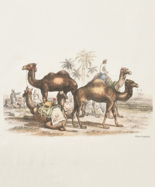 Bshop(ビショップ)の「【History of Art】アニマルプリントTシャツ MEN(Tシャツ/カットソー・メンズ・B/D/A/C・LARGE/X-LARGE/MEDIUM)」の13枚目の写真