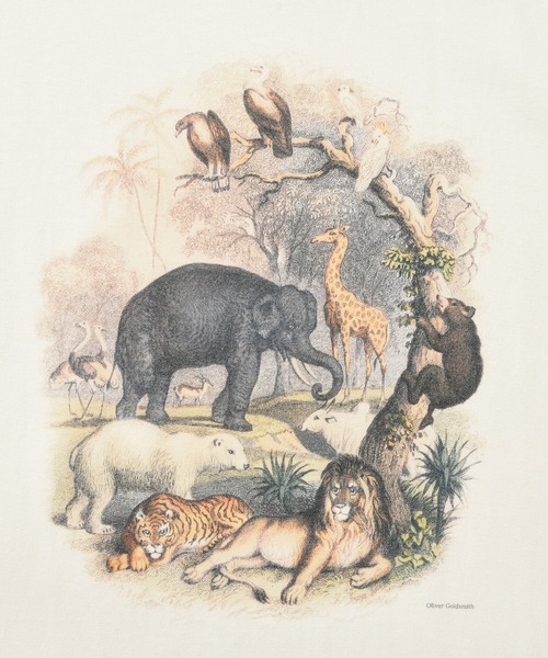 Bshop(ビショップ)の「【History of Art】アニマルプリントTシャツ MEN(Tシャツ/カットソー・メンズ・B/D/A/C・LARGE/X-LARGE/MEDIUM)」の14枚目の写真