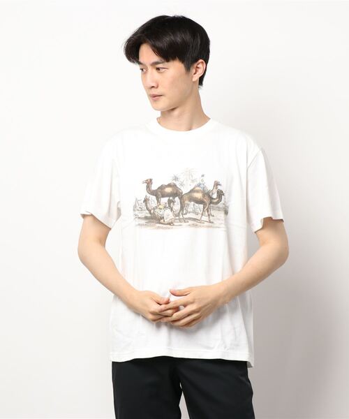 Bshop(ビショップ)の「【History of Art】アニマルプリントTシャツ MEN(Tシャツ/カットソー・メンズ・B/D/A/C・LARGE/X-LARGE/MEDIUM)」の16枚目の写真