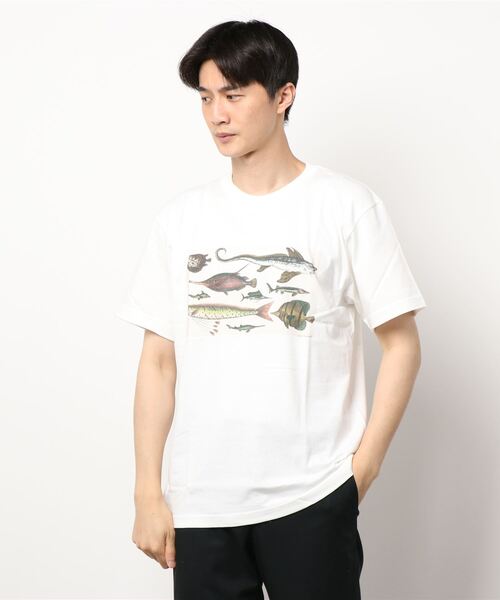 Bshop(ビショップ)の「【History of Art】アニマルプリントTシャツ MEN(Tシャツ/カットソー・メンズ・B/D/A/C・LARGE/X-LARGE/MEDIUM)」の17枚目の写真