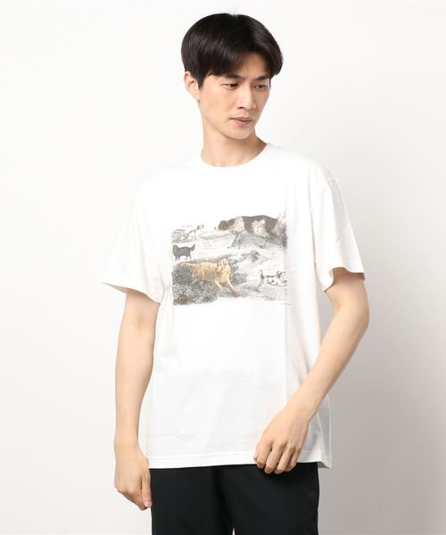 Bshop(ビショップ)の「【History of Art】アニマルプリントTシャツ MEN(Tシャツ/カットソー・メンズ・B/D/A/C・LARGE/X-LARGE/MEDIUM)」の18枚目の写真