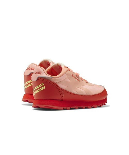 リーボック✖️THEANIMALSコラボスニーカー CLASSIC x The Animal Observatory】クラブシー リベンジ / Club