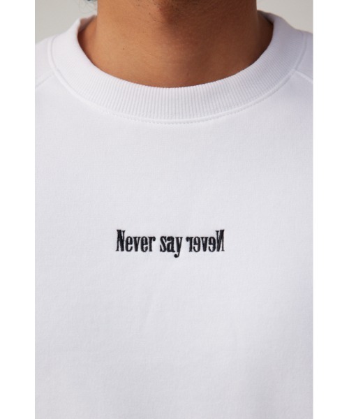 AZUL by moussy(アズールバイマウジー)の「裏起毛スウェットプルオーバー(Tシャツ/カットソー・メンズ・ホワイト/ブラック/グレー・LARGE/MEDIUM)」の10枚目の写真