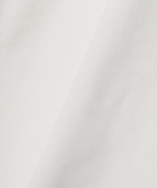 MANASTASH（マナスタッシュ）の「MANASTASH/マナスタッシュ　FLEX CLIMBER PANTS/フレックスクライマーパンツ（チノパンツ・メンズ・ホワイト系2/オリーブ系/ブラック/グレー系その他3/ブラウン/その他19・L/M/2XL/XL）」の19枚目の写真