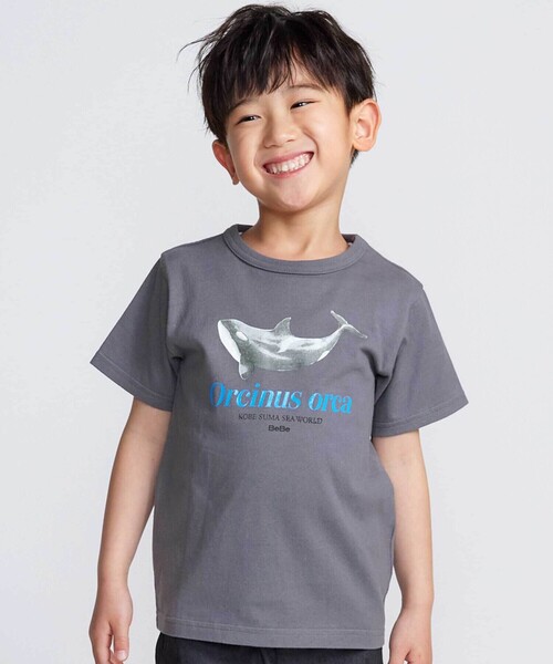 BeBe(ベベ)の「【 速乾 】【神戸須磨シーワールド×BeBe】シャチ・イルカ 図鑑風半袖Tシャツ(80~140cm)(Tシャツ/カットソー・キッズ・グレー/ホワイト・120cm/130cm/140cm/110cm)」の2枚目の写真