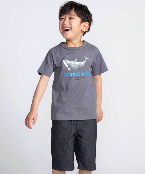 BeBe(ベベ)の「【 速乾 】【神戸須磨シーワールド×BeBe】シャチ・イルカ 図鑑風半袖Tシャツ(80~140cm)(Tシャツ/カットソー・キッズ・グレー/ホワイト・120cm/130cm/140cm/110cm)」の4枚目の写真