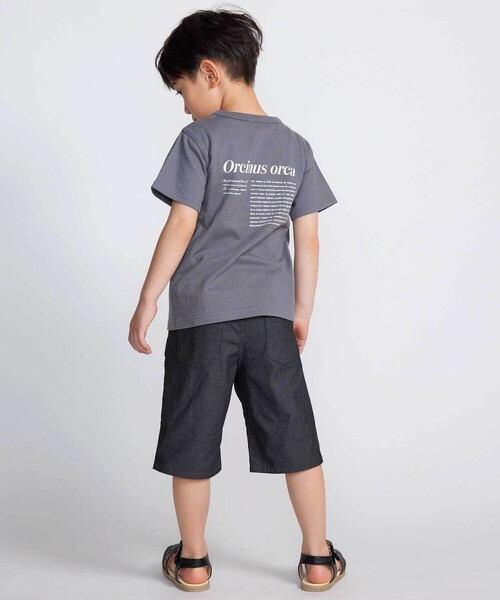 BeBe(ベベ)の「【 速乾 】【神戸須磨シーワールド×BeBe】シャチ・イルカ 図鑑風半袖Tシャツ(80~140cm)(Tシャツ/カットソー・キッズ・グレー/ホワイト・120cm/130cm/140cm/110cm)」の5枚目の写真