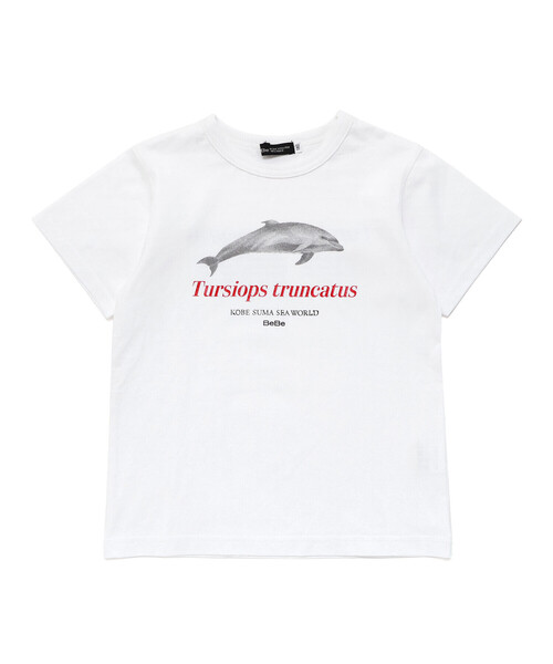 BeBe(ベベ)の「【 速乾 】【神戸須磨シーワールド×BeBe】シャチ・イルカ 図鑑風半袖Tシャツ(80~140cm)(Tシャツ/カットソー・キッズ・グレー/ホワイト・120cm/130cm/140cm/110cm)」の7枚目の写真