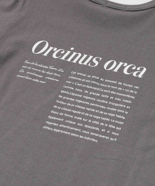 BeBe(ベベ)の「【 速乾 】【神戸須磨シーワールド×BeBe】シャチ・イルカ 図鑑風半袖Tシャツ(80~140cm)(Tシャツ/カットソー・キッズ・グレー/ホワイト・120cm/130cm/140cm/110cm)」の15枚目の写真