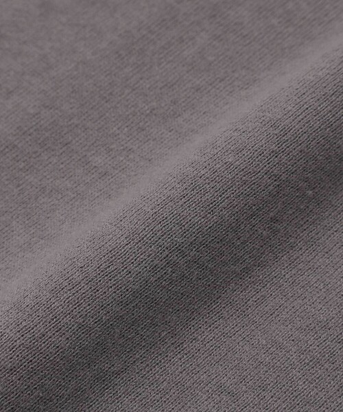 BeBe(ベベ)の「【 速乾 】【神戸須磨シーワールド×BeBe】シャチ・イルカ 図鑑風半袖Tシャツ(80~140cm)(Tシャツ/カットソー・キッズ・グレー/ホワイト・120cm/130cm/140cm/110cm)」の18枚目の写真