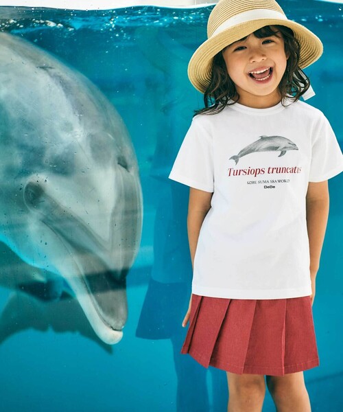 BeBe(ベベ)の「【 速乾 】【神戸須磨シーワールド×BeBe】シャチ・イルカ 図鑑風半袖Tシャツ(80~140cm)(Tシャツ/カットソー・キッズ・グレー/ホワイト・120cm/130cm/140cm/110cm)」の1枚目の写真