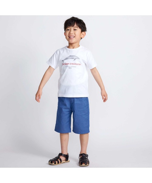 BeBe(ベベ)の「【 速乾 】【神戸須磨シーワールド×BeBe】シャチ・イルカ 図鑑風半袖Tシャツ(80~140cm)(Tシャツ/カットソー・キッズ・グレー/ホワイト・120cm/130cm/140cm/110cm)」の21枚目の写真