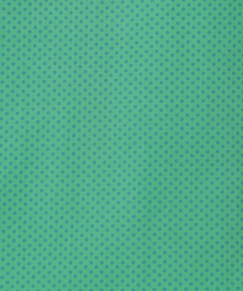 ERRICO FORMICOLA(エッリコフォルミコラ)の「ERRICO FORMICOLA コットン レギュラーカラー ドットシャツ(シャツ/ブラウス・メンズ・ブルー系その他2/オレンジ系その他2/グリーン系その他・L/M/S)」の14枚目の写真