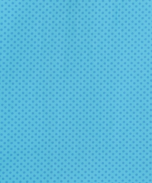 ERRICO FORMICOLA(エッリコフォルミコラ)の「ERRICO FORMICOLA コットン レギュラーカラー ドットシャツ(シャツ/ブラウス・メンズ・ブルー系その他2/オレンジ系その他2/グリーン系その他・L/M/S)」の15枚目の写真