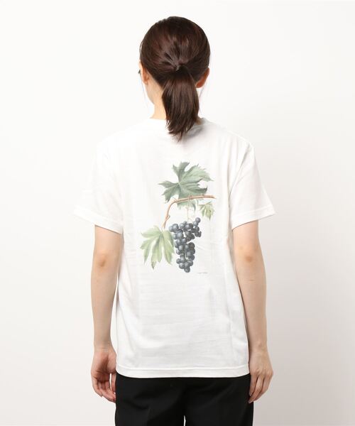 tシャツ History of Art | 「別注」プリントTシャツ FRUITS II WOMEN レディース History of Art | 〈別注〉プリントTシャツ FRUITS Ⅱ WOMEN（T