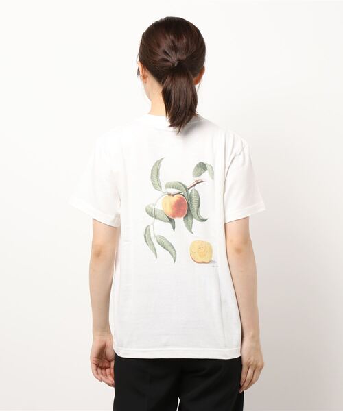 tシャツ History of Art | 「別注」プリントTシャツ FRUITS II WOMEN レディース Bshop｜History of Art | <別注>プリントTシャツ FRUITS II
