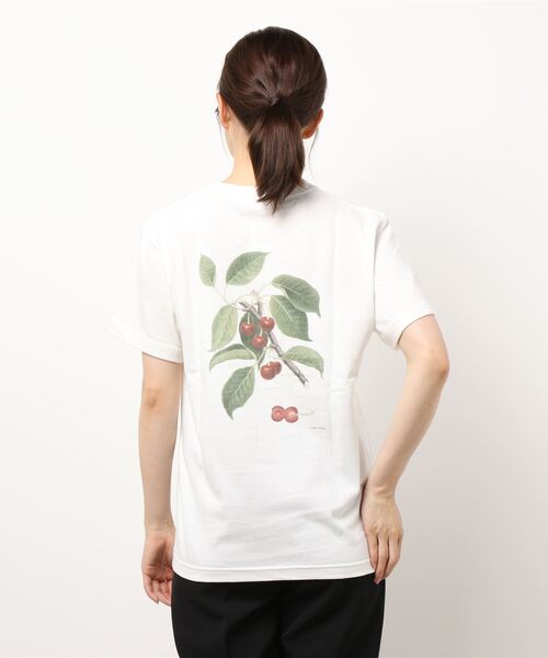 tシャツ History of Art | 「別注」プリントTシャツ FRUITS II WOMEN レディース History of Art | 〈別注〉プリントTシャツ FRUITS Ⅱ WOMEN（T