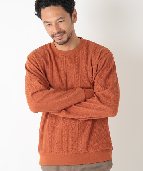 MEN'S BIGI（メンズビギ）の「フクレケーブルジャガード カットソー（Tシャツ/カットソー・メンズ・ブラック/ベージュ/グリーン/エンジ・01/03/02）」の10枚目の写真