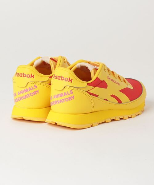 Reebok（リーボック）の「クラシックレザー / Classic Leather Shoes（スニーカー・キッズ・ブラウン/イエロー/ブルー/レッド系その他・19.0cm/20.0cm/23.0cm/24.0cm/17.0cm/21.0cm/18.0cm/22.0cm）」の5枚目の写真