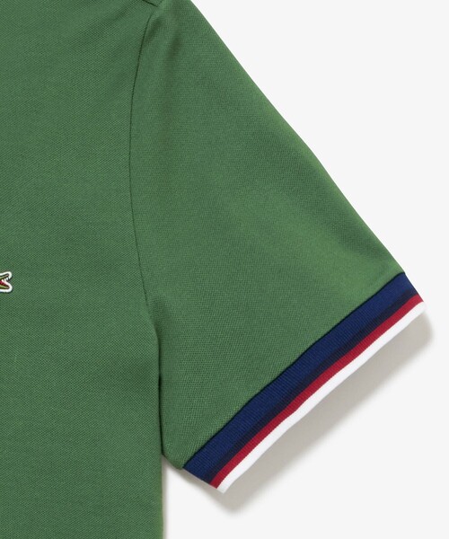 ★LACOSTE★ボーダーリブニットクルーネック鹿の子地レディースTシャツ☆ ボーダーリブニットクルーネック鹿の子地Tシャツ TF7221