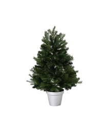 Francfranc フランフラン LED 50球クリスマスツリー 80cm Francfranc（フランフラン）の「LED50球付き クリスマスツリー 80cm