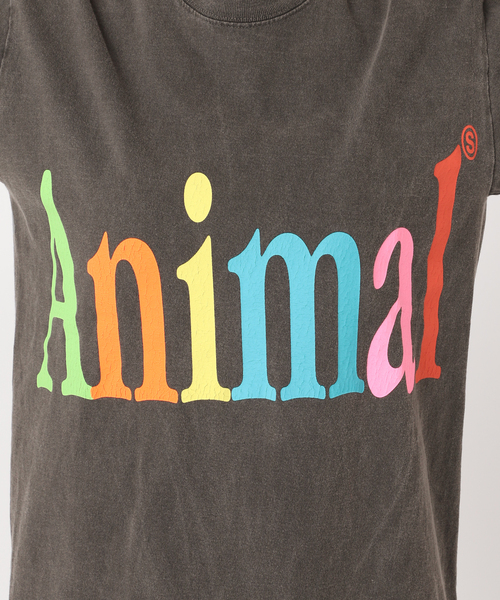 STUDIO WEAREALLANIMALS This is now Tシャツ(506101642