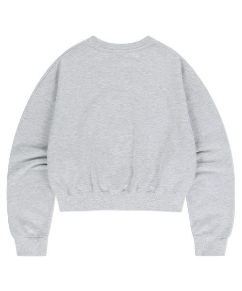 MAHAGRID(マハグリッド)の「『mahagrid/マハグリッド』 VINTAGE COLLEGE CROP SWEATSHIRT/ヴィンテージカレッジ クロップ スウェットシャツ(スウェット・レディース・ライトグレー/チャコールグレー・FREE)」の10枚目の写真