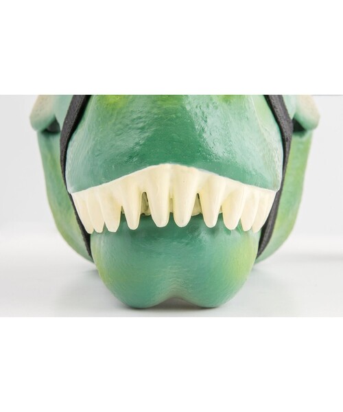 bpr BEAMS（ビーピーアール ビームス ）の「SUCK UK / Dinosaur Case（インテリア雑貨・レディース・その他・ONE SIZE）」の15枚目の写真